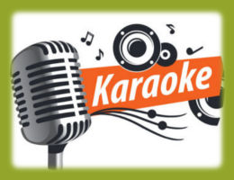 Alquiler de Karaoke profesional, con equipo de sonido y luz