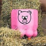 Banqueta Niños Maualidad para Fiesta